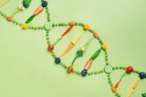 test ADN diététique nutrition