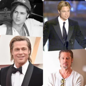 Brad Pitt en bref