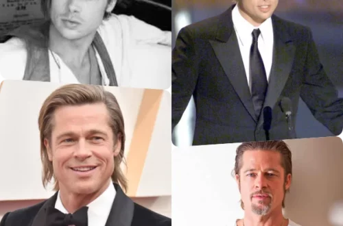 Brad Pitt en bref