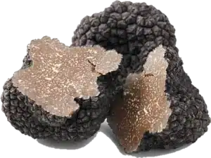 Les bienfaits des Truffes